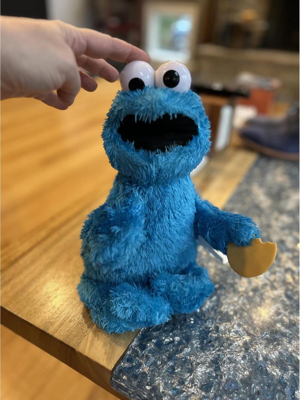 Interactive Cookie Monster Plush Toy - Sesame Street